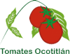 Foto de Tomates Ocotitln-tomates de invernadero