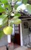 Alojamiento rustico-rural Tetela de Ocampo, Pue.